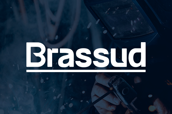 (c) Brassud.com.br